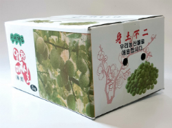 박스도매닷컴,일반 백색 매실 5kg 박스