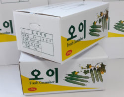 박스도매닷컴,코팅 백색 오이 10kg 박스