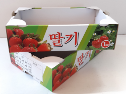 박스도매닷컴,딸기박스 1kg (500gx2개) 칼라박스